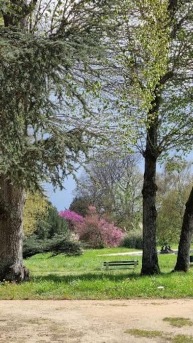 Pavillon Des Ecureuils Au Chateau Royal De Benays Benais Extérieur photo