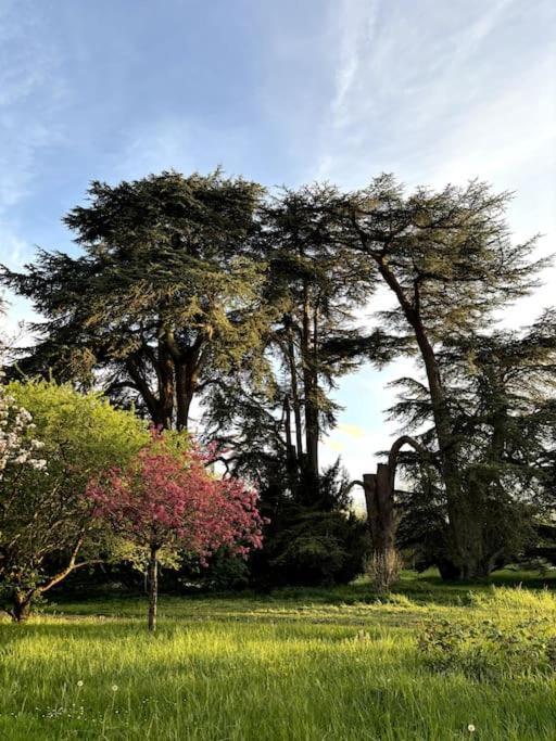 Pavillon Des Ecureuils Au Chateau Royal De Benays Benais Extérieur photo